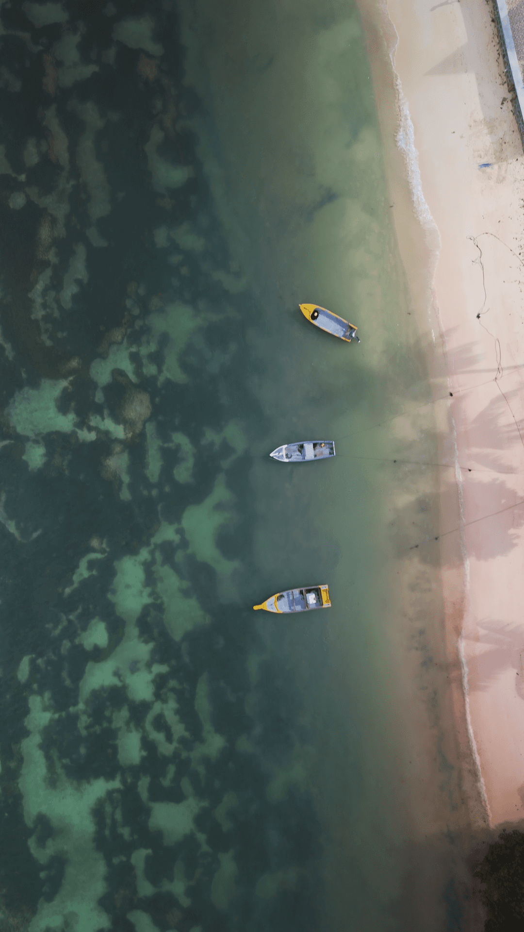 Harbour Geometry